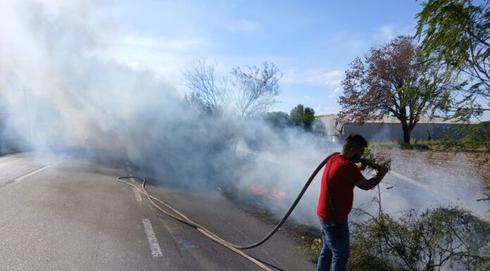 INCENDIO DE PASTIZAL MOVILIZA A PROTECCIÓN CIVIL EN CAMARGO