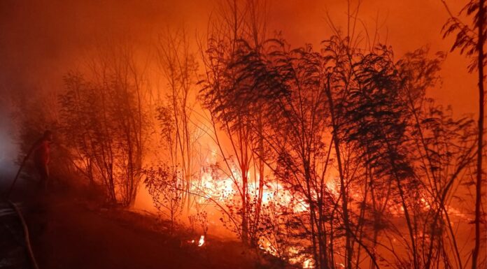 INCENDIO EN PASTIZAL MOVILIZA A PROTECCIÓN CIVIL EN CAMARGO