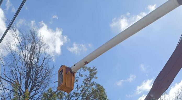 ACTIVIDADES DE MANTENIMIENTO DEL GOBIERNO MUNICIPAL DE REYNOSA