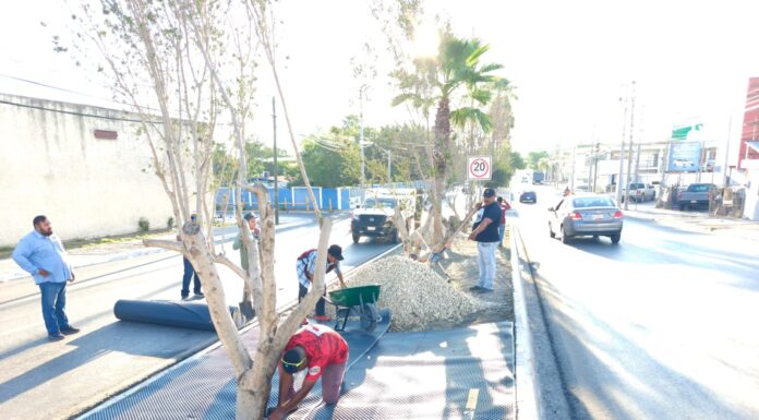 IMPARABLE TRABAJO DE LIMPIEZA Y EMBELLECIMIENTO EN REYNOSA