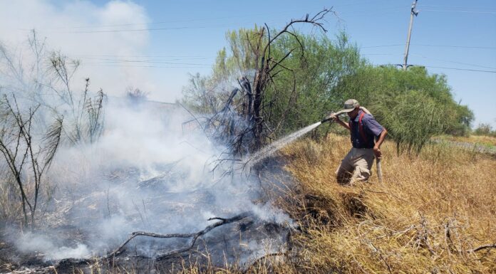 INCENDIO DE PASTIZAL MOVILIZA A PROTECCIÓN CIVIL EN CAMARGO