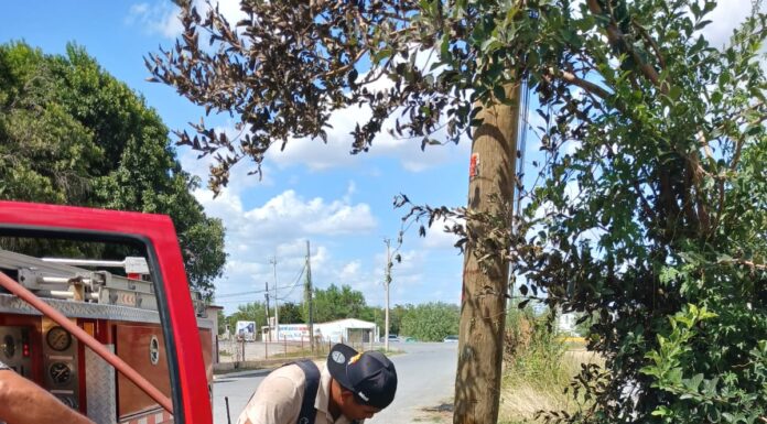 REPORTAN DOS INCENDIOS EN SOLARES BALDÍOS DE CAMARGO; POSTES DE CFE RESULTAN DAÑADOS