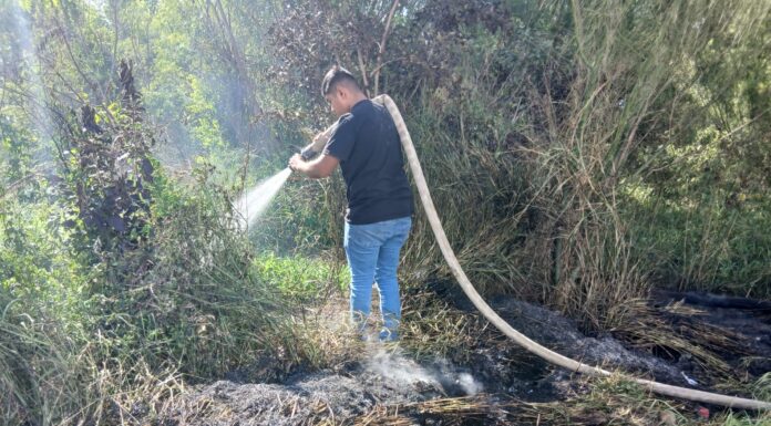 CONTROLA PROTECCIÓN CIVIL INCENDIO DE PASTIZAL EN CAMARGO; DOS VEHÍCULOS ESTUVIERON EN RIESGO