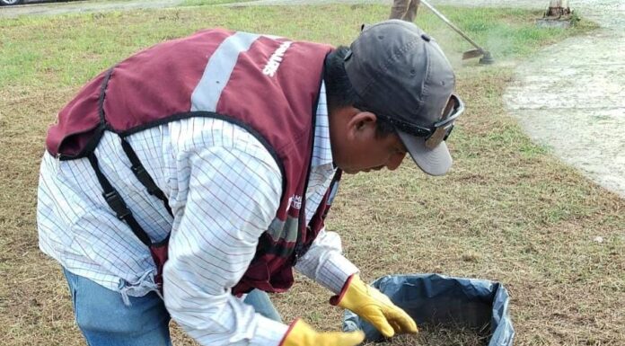 SANEA GOBIERNO DE REYNOSA PLAZA PÚBLICA EN VISTA HERMOSA