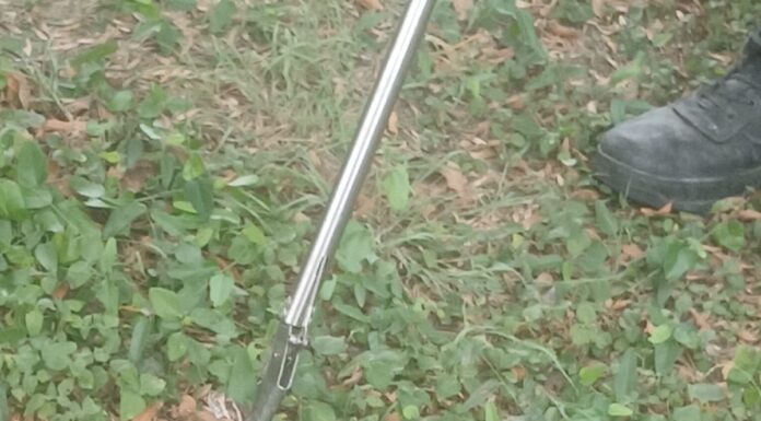 VÍBORA DE CASCABEL APARECE EN SECUNDARIA DE CAMARGO