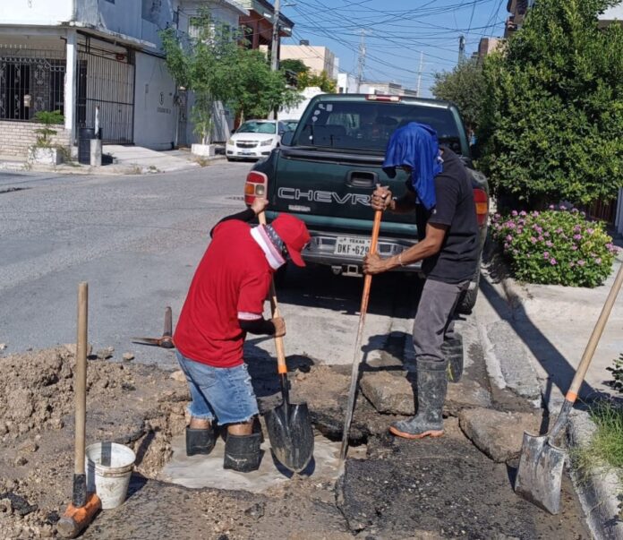 IMG-20250929-WA0029