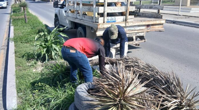 REFUERZA REYNOSA ACCIONES DE LIMPIEZA Y MANTENIMIENTO URBANO