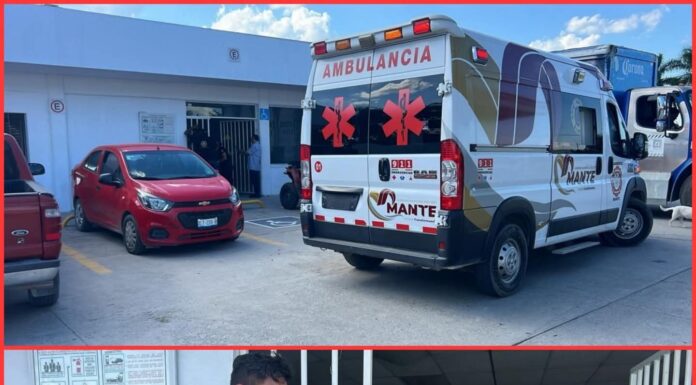 ABEJAS AFRICANAS ATACAN EN TAMAULIPAS Y DEJAN UN MUERTO Y SIETE HERIDOS