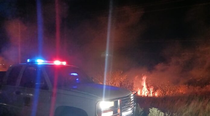 CONTROLA PROTECCIÓN CIVIL INCENDIO DE PASTIZAL EN EL POBLADO RANCHERÍAS