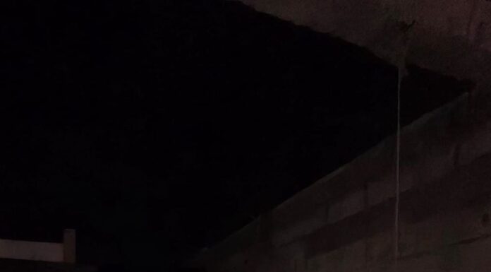 AVANZA PROTECCIÓN A LA CALIDAD DE VIDA DE LOS ANIMALES EN REYNOSA