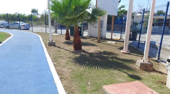 REYNOSA REFUERZA LIMPIEZA Y MANTENIMIENTO URBANO CON ACCIONES CONSTANTES