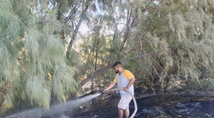 INCENDIO GENERA ALERTA EN CARRETERA DEL PUENTE INTERNACIONAL DE CAMARGO