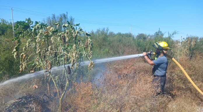ATIENDEN TRES INCENDIOS CASI SIMULTÁNEOS EN CAMARGO; PROTECCIÓN CIVIL EVITA DAÑOS MAYORES