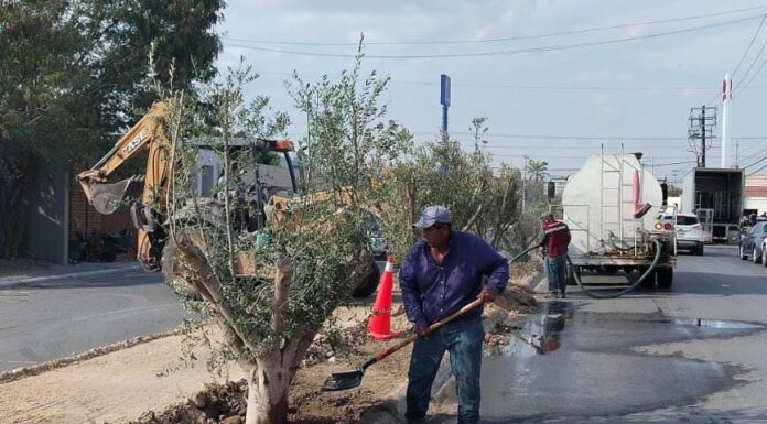 EMBELLECE GOBIERNO DE CARLOS PEÑA ORTIZ ESPACIOS PÚBLICOS Y ÁREAS VERDES EN REYNOSA