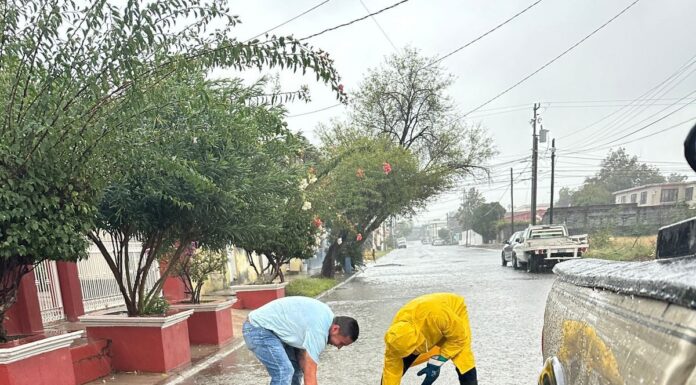 REALIZA COMAPA LIMPIEZA DE PLUVIALES EN DIFERENTES SECTORES