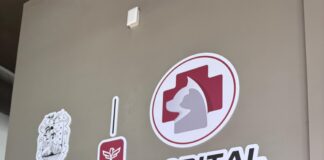 ATENDIÓ HOSPITAL VETERINARIO MUNICIPAL DE REYNOSA A FELINO RESCATADO POR UN ALMA CARITATIVA