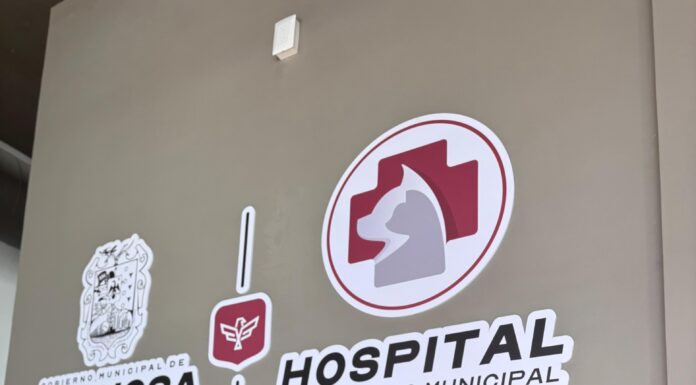 ATENDIÓ HOSPITAL VETERINARIO MUNICIPAL DE REYNOSA A FELINO RESCATADO POR UN ALMA CARITATIVA