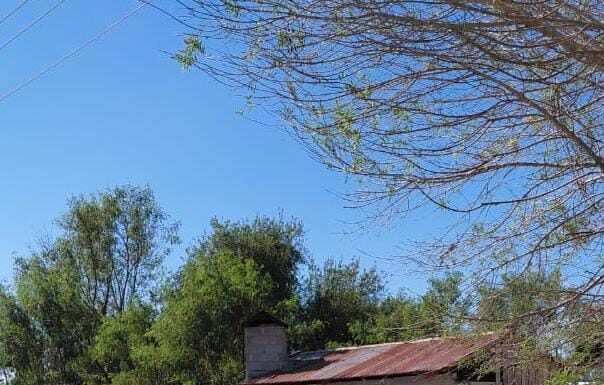 CONTROLAN INCENDIO DE CAMIONETA EN PATIO DE UN DOMICILIO EN CAMARGO