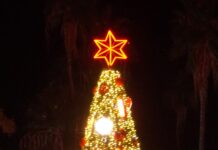 ENCENDIDO DEL PINO NAVIDEÑO UNE A CIENTOS DE FAMILIAS EN MIGUEL ALEMÁN