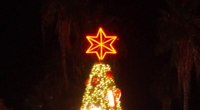 ENCENDIDO DEL PINO NAVIDEÑO UNE A CIENTOS DE FAMILIAS EN MIGUEL ALEMÁN