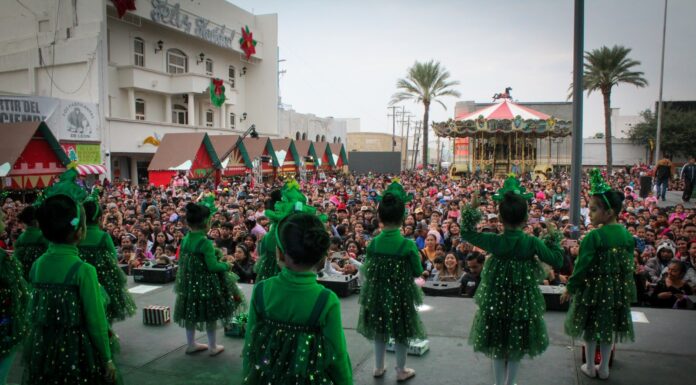 PRESENTÓ GOBIERNO DE CARLOS PEÑA ORTIZ PROGRAMA DEL IRCA EN TRADICIONAL ENCENDIDO DEL PINO