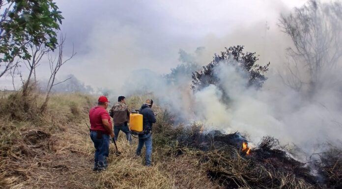 CONTROLAN INCENDIO DE CARRIZO Y PASTIZAL EN CAMARGO SIN REGISTRAR AFECTACIONES