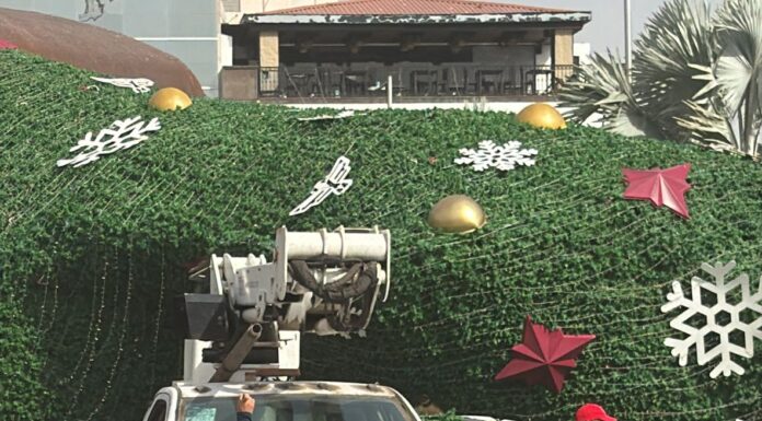 SIN INCIDENTES MAYORES DURANTE EL RETIRO DEL PINO NAVIDEÑO