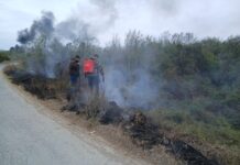 INCENDIO DE PASTIZAL MOVILIZA A PROTECCIÓN CIVIL EN CAMARGO