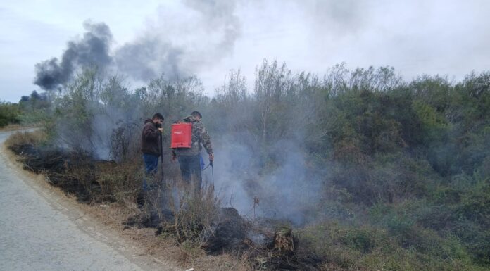 INCENDIO DE PASTIZAL MOVILIZA A PROTECCIÓN CIVIL EN CAMARGO