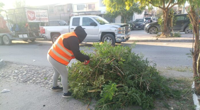REFUERZA GOBIERNO DE REYNOSA ACCIONES DE LIMPIEZA Y MANTENIMIENTO EN DISTINTOS PUNTOS DE LA CIUDAD