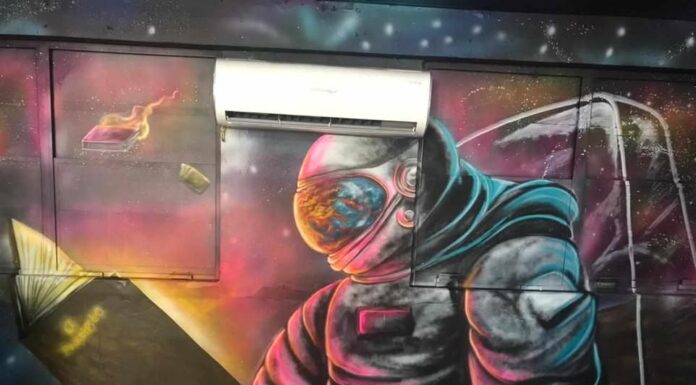 EL ARTE QUE TRANSFORMA JARDÍNES Y ESCUELAS BUSCA APOYO SOLIDARIO