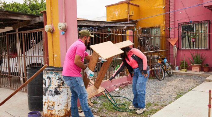 ARRANCA EN DÍAZ ORDAZ LA PRIMERA CAMPAÑA DE DESCACHARRIZACIÓN 2026