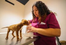 OFRECE CARLOS PEÑA ORTIZ ATENCIÓN DEL HOSPITAL VETERINARIO MUNICIPAL