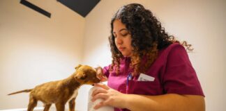 OFRECE CARLOS PEÑA ORTIZ ATENCIÓN DEL HOSPITAL VETERINARIO MUNICIPAL