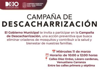 GOBIERNO DE DÍAZ ORDAZ REFUERZA ACCIONES PARA PREVENIR PROLIFERACIÓN DE MOSQUITOS EN COLONIAS