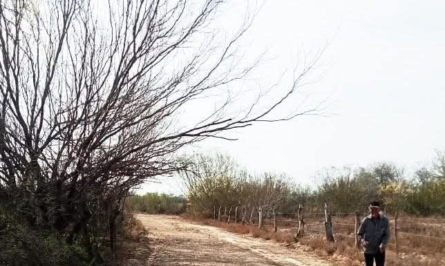 GOBIERNO DE MIGUEL ALEMÁN REFUERZA LIMPIEZA DE CAMINOS RURALES PARA MEJORAR LA SEGURIDAD Y MOVILIDAD