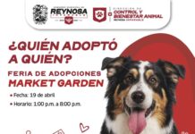 FERIA DE ADOPCIONES BRINDA SEGUNDA OPORTUNIDAD A MASCOTAS QUE BUSCAN HOGAR