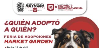 FERIA DE ADOPCIONES BRINDA SEGUNDA OPORTUNIDAD A MASCOTAS QUE BUSCAN HOGAR