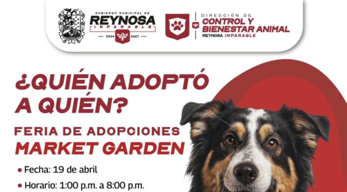 FERIA DE ADOPCIONES BRINDA SEGUNDA OPORTUNIDAD A MASCOTAS QUE BUSCAN HOGAR