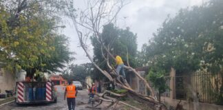 RESTABLECE GOBIERNO DE REYNOSA SERVICIOS TRAS DAÑOS POR LLUVIAS Y FUERTES VIENTOS