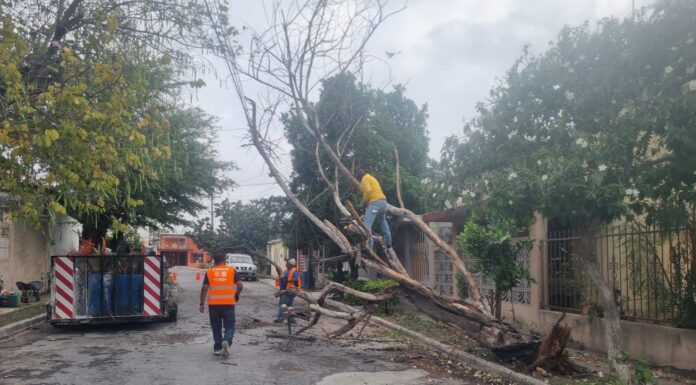 RESTABLECE GOBIERNO DE REYNOSA SERVICIOS TRAS DAÑOS POR LLUVIAS Y FUERTES VIENTOS