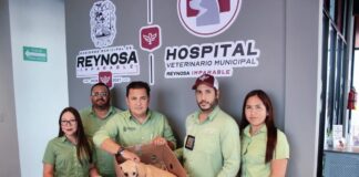 SONRÍEN A LA VIDA MASCOTAS RESCATADAS Y ATENDIDAS POR CONTROL Y BIENESTAR ANIMAL DEL GOBIERNO DE REYNOSA