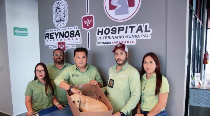 SONRÍEN A LA VIDA MASCOTAS RESCATADAS Y ATENDIDAS POR CONTROL Y BIENESTAR ANIMAL DEL GOBIERNO DE REYNOSA