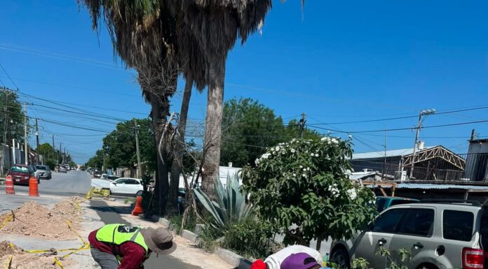 CONCLUYE COMAPA REYNOSA REHABILITACIÓN SANITARIA EN COLONIA LAS CUMBRES