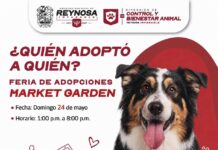 INVITA EL PRESIDENTE CARLOS PEÑA ORTIZ a LA FERIA DE ADOPCIONES HOY DOMINGO 24 DE MAYO