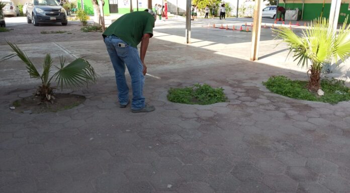 MANTIENE GOBIERNO DE REYNOSA PROGRAMA PERMANENTE DE LIMPIEZA EN ESCUELAS