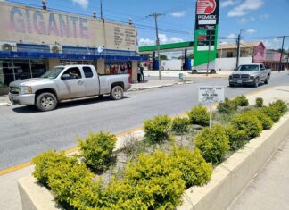 MPULSAN PROGRAMA CIUDADANO PARA EMBELLECER ESPACIOS PÚBLICOS EN DÍAZ ORDAZ
