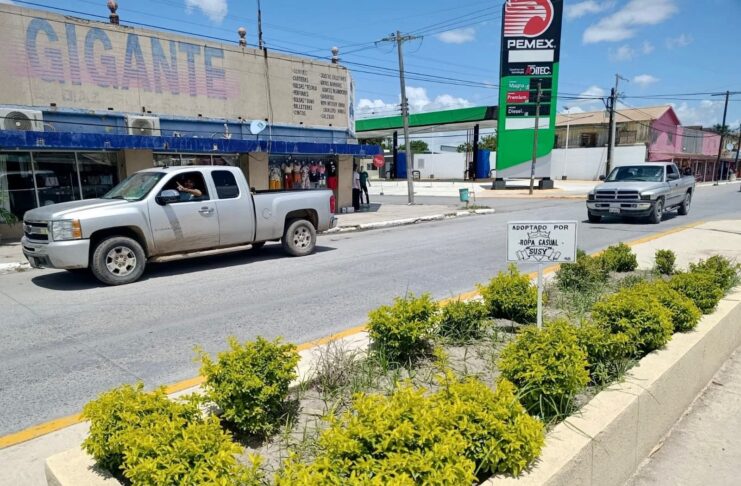 MPULSAN PROGRAMA CIUDADANO PARA EMBELLECER ESPACIOS PÚBLICOS EN DÍAZ ORDAZ
