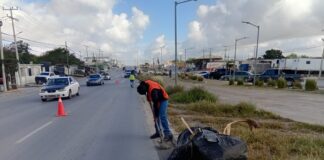 GOBIERNO DE REYNOSA REFUERZA LIMPIEZA URBANA EN LA AVENIDA RODOLFO GARZA CANTÚ