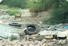 HALLAN CIENTOS DE PECES MUERTOS EN LA PRESA MARTE R. GÓMEZ; PIDEN SANCIONES CONTRA RESPONSABLES
